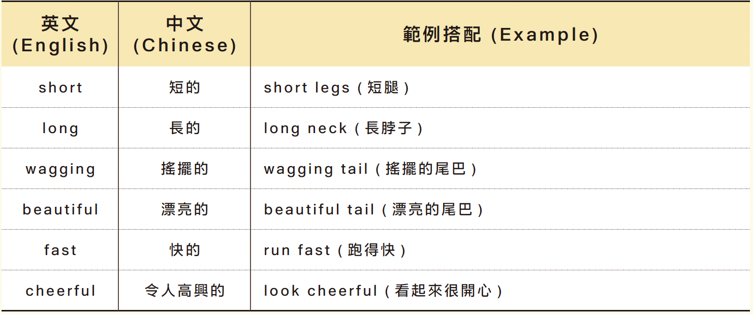 SEL 的核心：國際共識與實證基礎